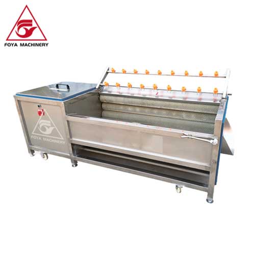 Brush Vegetable Washer