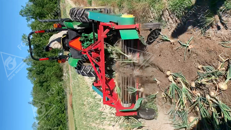 Garlic Harvester in America