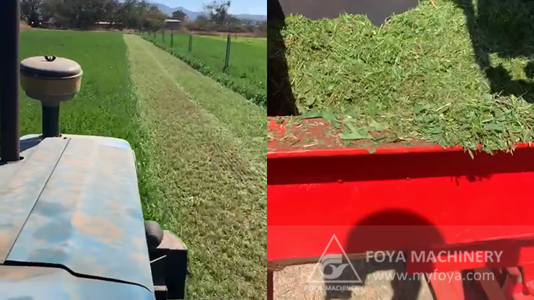 Silage Harvester in South Africa